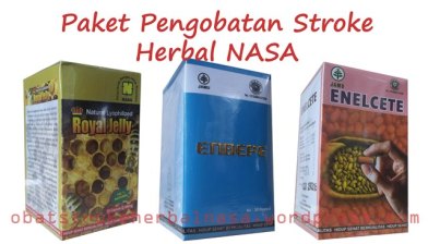 Paket Pengobatan Stroke Herbal NASA